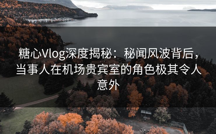 糖心Vlog深度揭秘:秘闻风波背后,当事人在机场贵宾室的角色极其令人意外 糖心Vlog深度揭秘:秘闻风波背后,当事人在机场贵宾室的角色极其令人意外