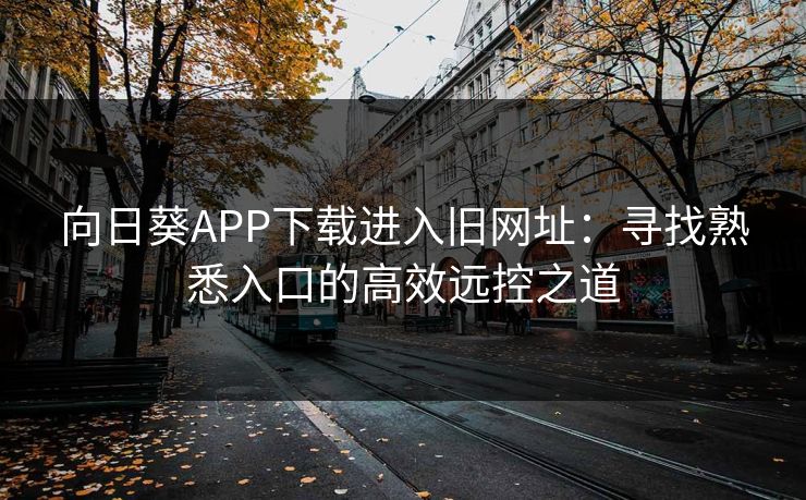 向日葵APP下载进入旧网址：寻找熟悉入口的高效远控之道
