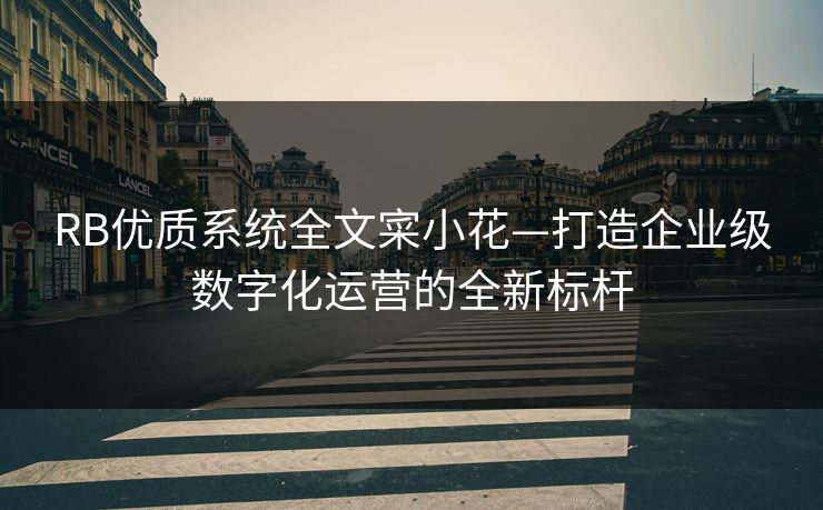 RB优质系统全文寀小花—打造企业级数字化运营的全新标杆