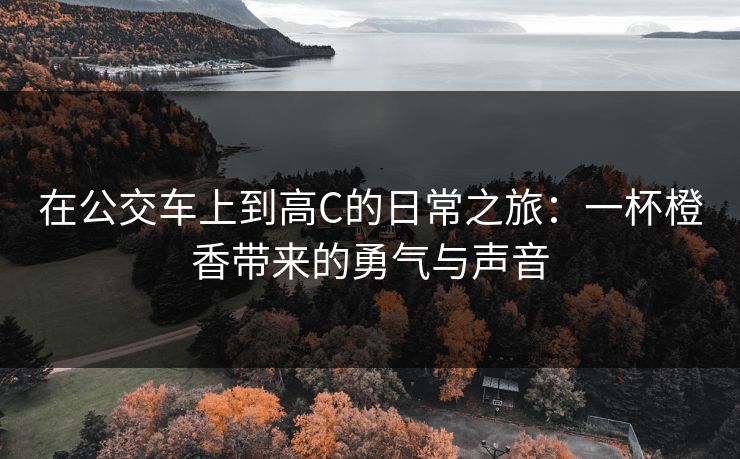 在公交车上到高C的日常之旅:一杯橙香带来的勇气与声音 在公交车上到高C的日常之旅:一杯橙香带来的勇气与声音
